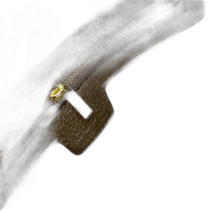 Sacoche Gucci